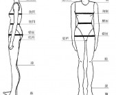 國際標(biāo)準(zhǔn)工作服尺碼對照表大全